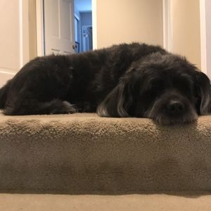 Meet your Posher, Kekelli